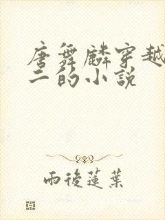 唐舞麟穿越到斗二的小说