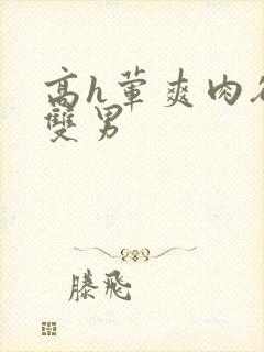 高h荤爽肉欲文双男