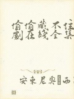 偷偷藏不住电视剧在线全集免费观看