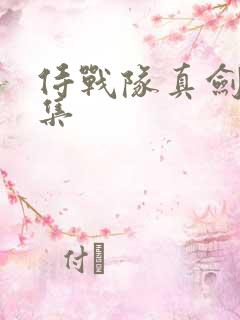 侍战队真剑者全集