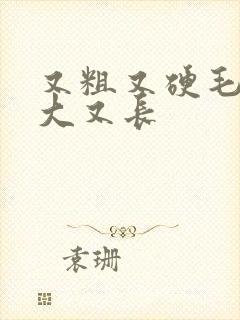 又粗又硬毛片又大又长