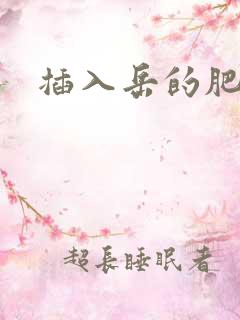 插入岳的肥穴