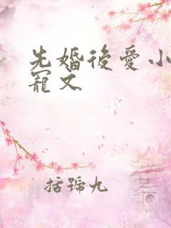 先婚后爱小说甜宠文