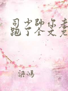 司少帅你老婆又跑了全文免费阅读