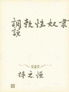 调教性奴隶的小说