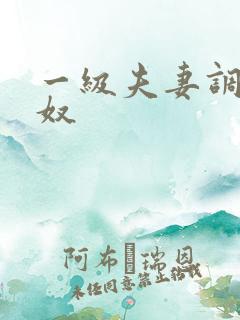 一级夫妻调教男奴