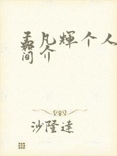 孟凡辉个人资料简介