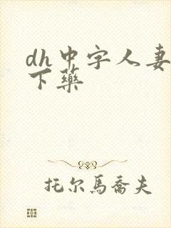 dh中字人妻被下药