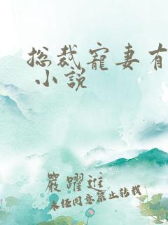 总裁宠妻有点甜 小说