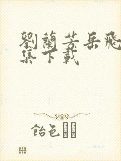 刘兰芳岳飞传全集下载