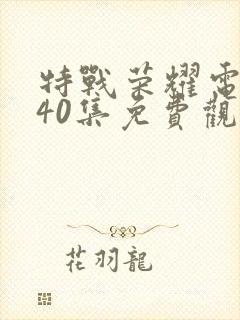 特战荣耀电视剧40集免费观看