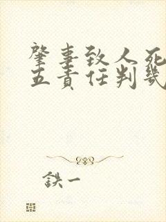 肇事致人死亡五五责任判几年