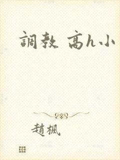 调教 高h小说