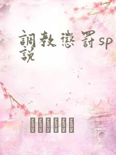 调教惩罚sp小说