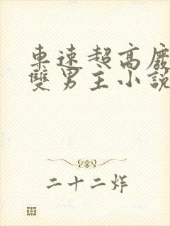 车速超高废文的双男主小说推荐