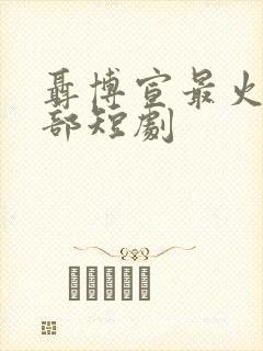 聂博宣最火的十部短剧