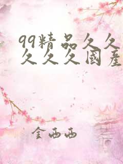 99精品久久久久久久国产