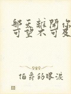 那天离开你终究可望不可及是什么歌