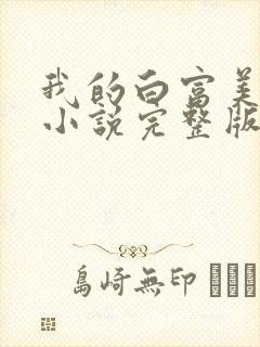 我的白富美老婆小说完整版