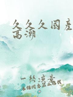 久久久国产精品高潮