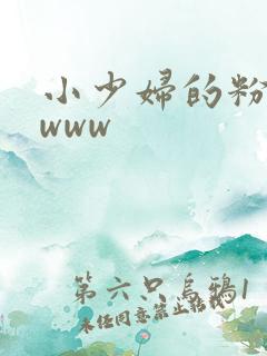 小少妇的粉嫩小www
