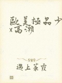 欧美极品少妇xx高潮