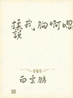 揉我胸啊嗯～小说