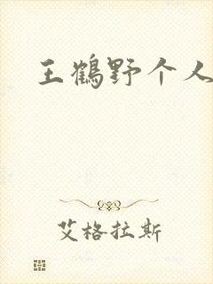 王鹤野个人简介