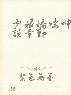 少妇娇喘呻吟小说章节