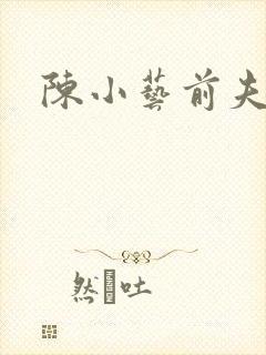 陈小艺前夫