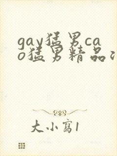 gay猛男cao猛男精品浪小辉