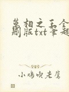 万相之王全本无删版txt笔趣阁