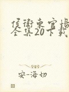 侯卫东官场笔记全集20下载