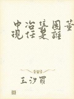 中冶集团董事长现任是谁