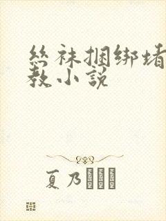 丝袜捆绑堵嘴调教小说