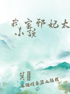 我家邪妃太嚣张 小说