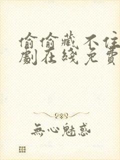 偷偷藏不住电视剧在线免费播放