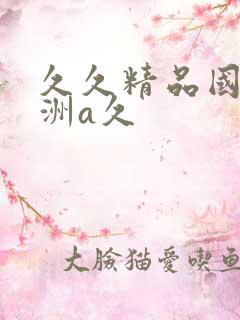 久久精品国产亚洲a久