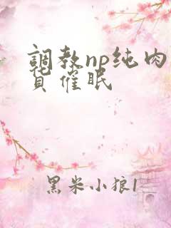 调教np纯肉骚货催眠