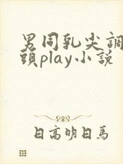 男同乳尖调教奶头play小说