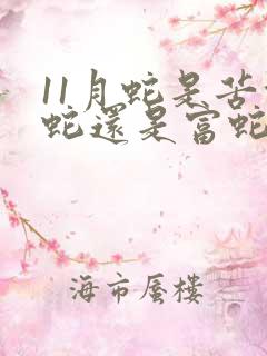 11月蛇是苦命蛇还是富蛇