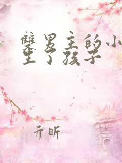 双男主的小说还生了孩子