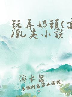 玩弄奶头(高h)乳夹小说