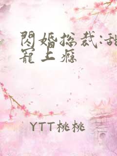 闪婚总裁:甜妻宠上瘾