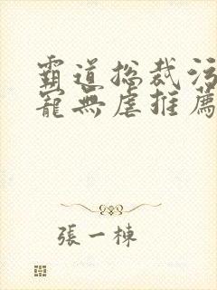 霸道总裁污文甜宠无虐推荐