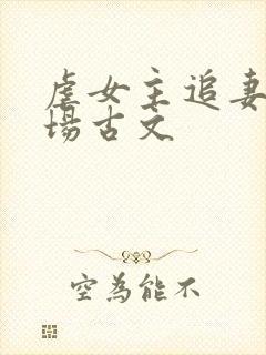 虐女主追妻火葬场古文