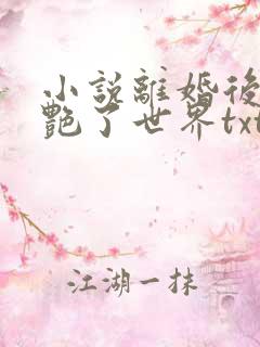 小说离婚后她惊艳了世界txt下载