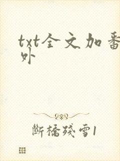 txt全文加番外