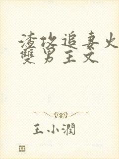 渣攻追妻火葬场双男主文