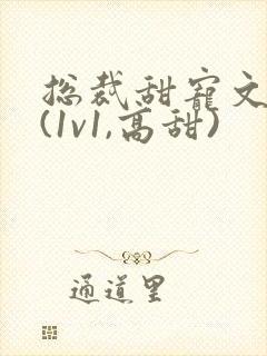 总裁甜宠文推荐(1v1,高甜)